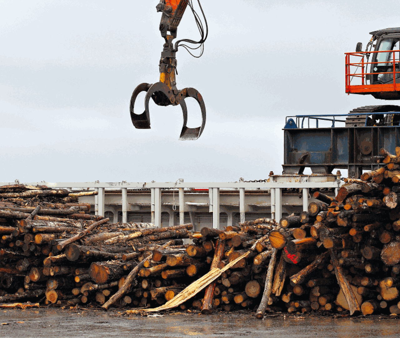 Crane above pile of timber