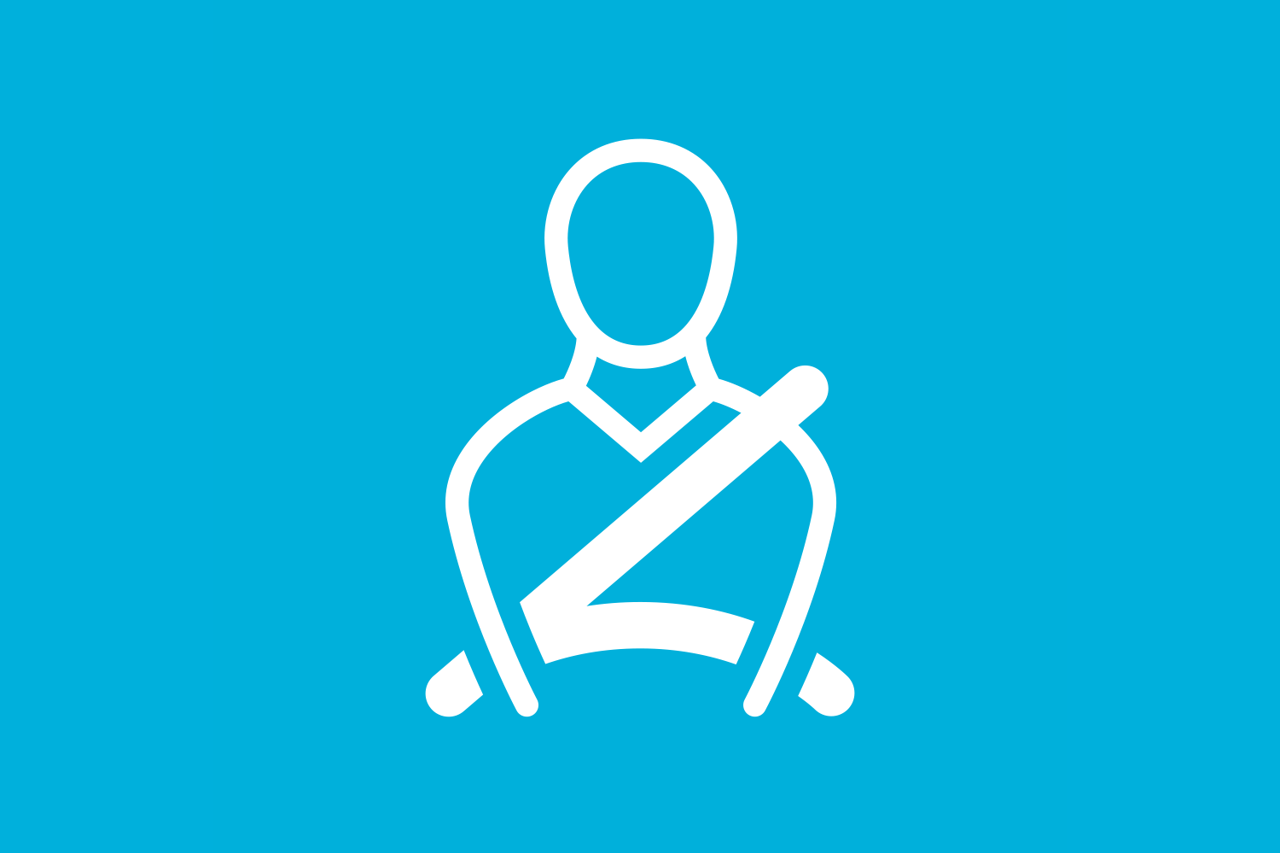 Icon illustrating our Life Saving rules for driving