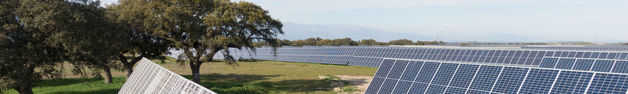 solar panels in a field